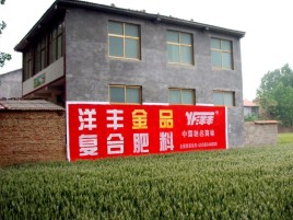 南乐如何让墙体广告展现最大化效果