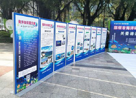 南乐KT板的种类和知识。